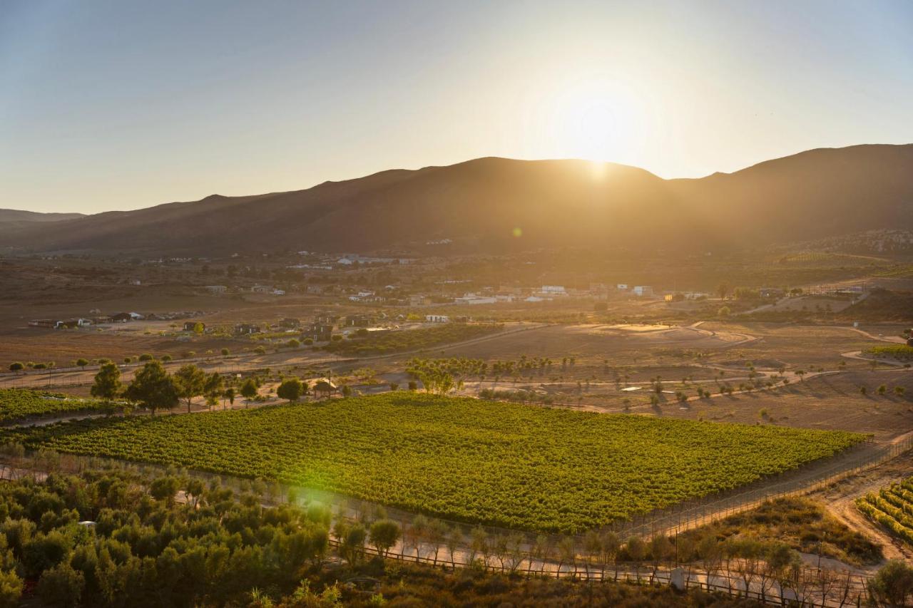 Banyan Tree Veya, Valle De Guadalupe - A Wellbeing & Wine Resort Екстер'єр фото