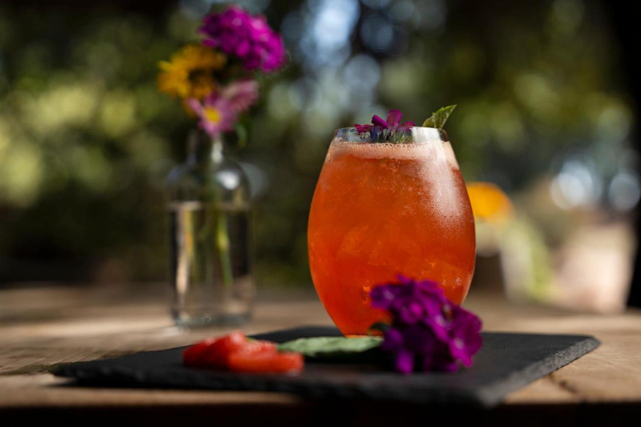 Banyan Tree Veya, Valle De Guadalupe - A Wellbeing & Wine Resort Екстер'єр фото